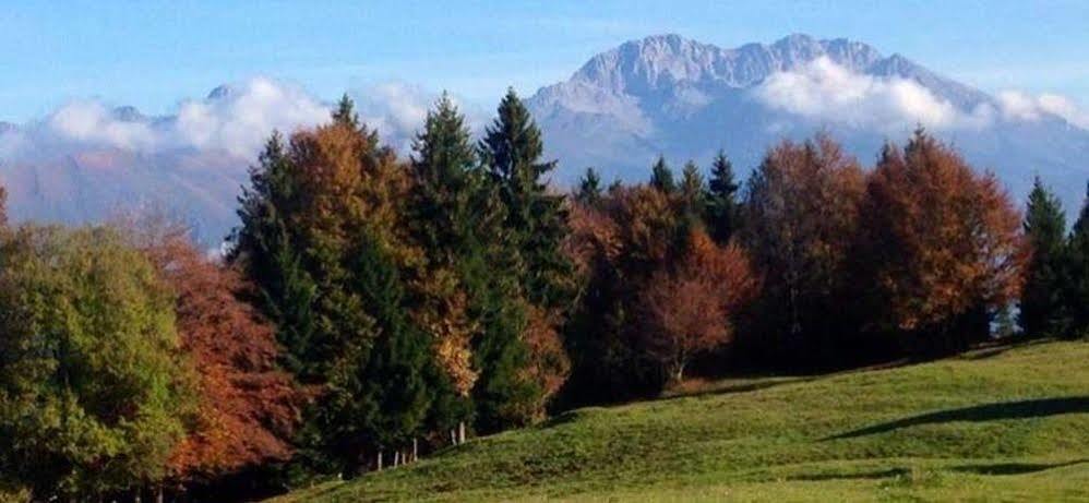 Lo Chalet Castione della Presolana Eksteriør billede